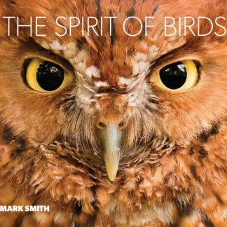 The Spirit of Birds