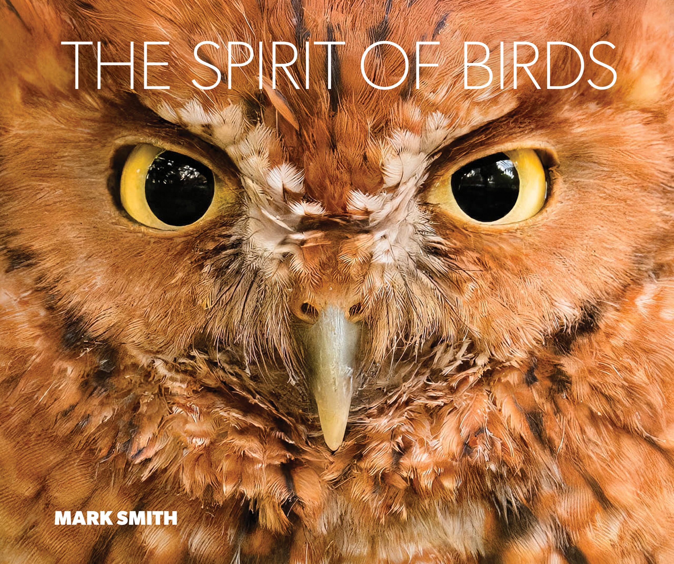 The Spirit of Birds Signed Copy